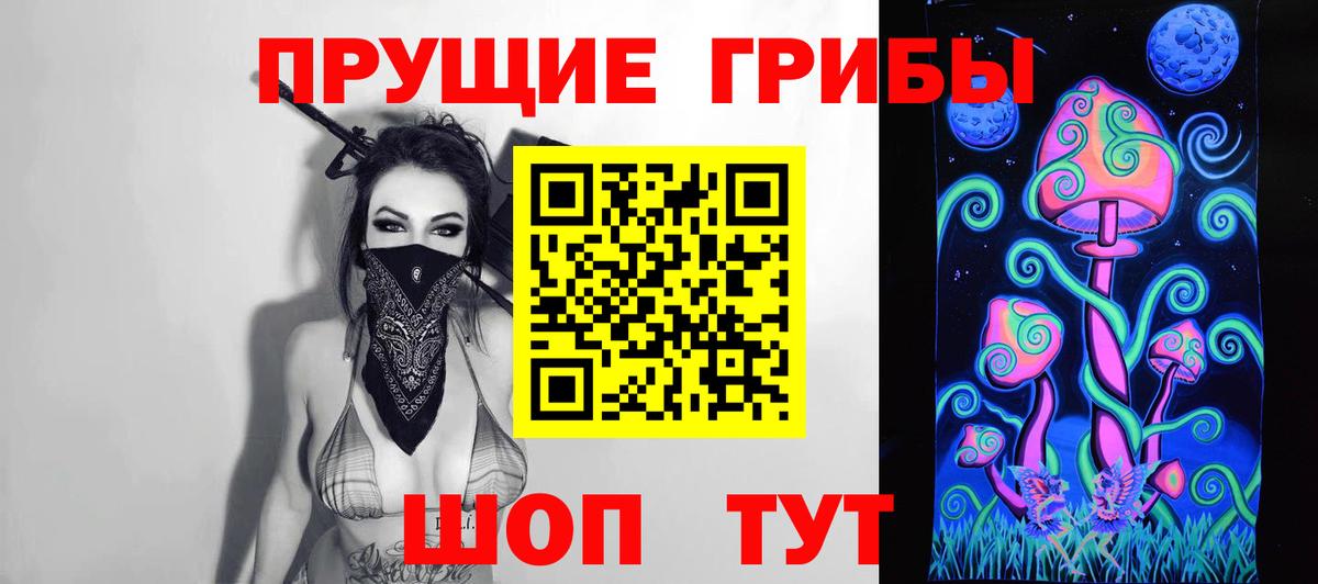 Галлюциногенные грибы Psilocybine cubensis Белорецк